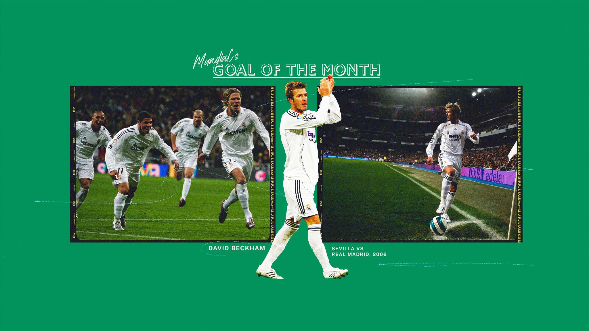 部也积极参 部也积极参