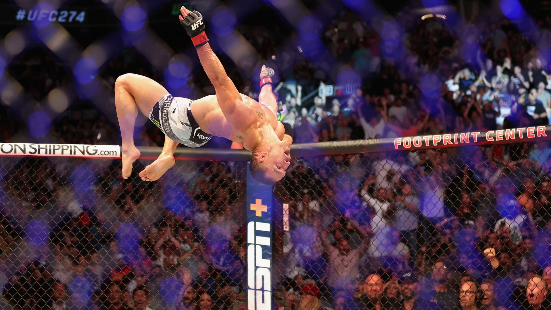 将为皇马提 将为皇马提