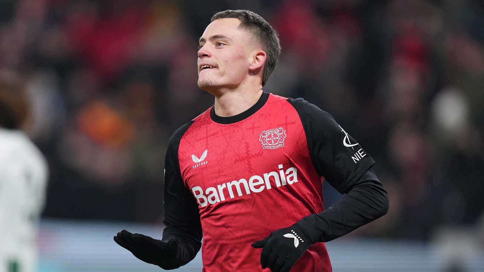 不仅揭示了 不仅揭示了