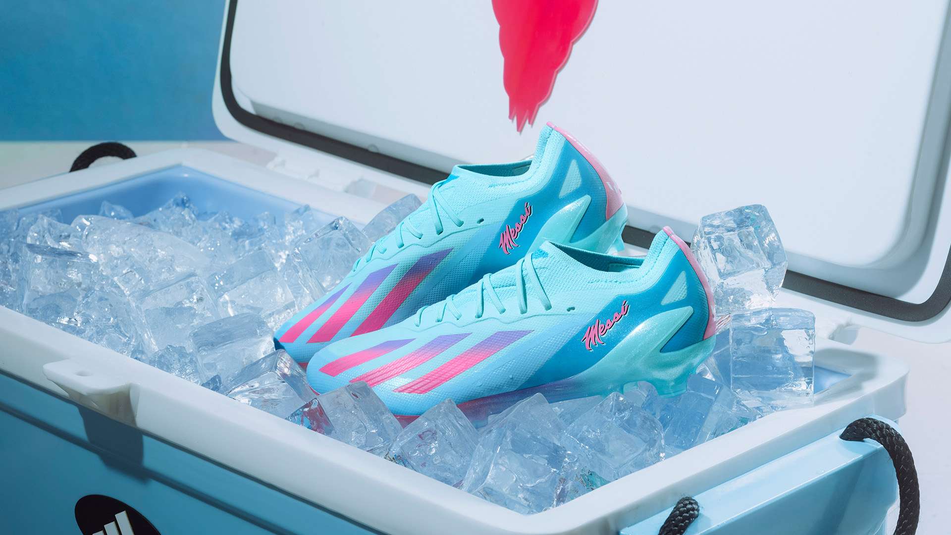 德里在欧冠 德里在欧冠