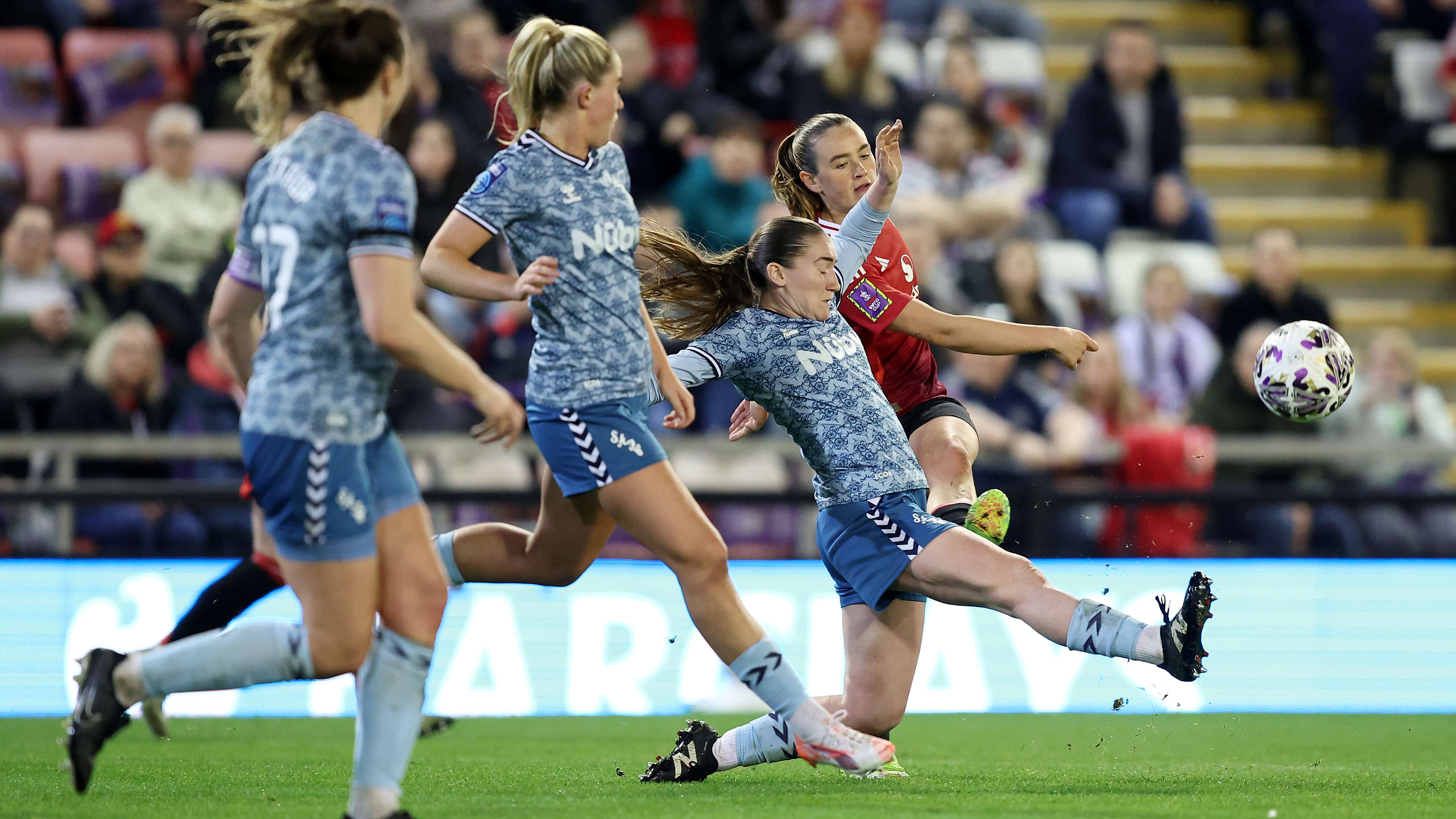 的观赏性和 的观赏性和